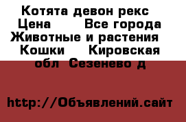 Котята девон рекс › Цена ­ 1 - Все города Животные и растения » Кошки   . Кировская обл.,Сезенево д.